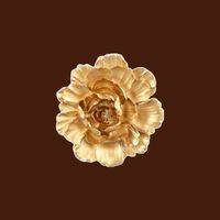 กิลด์ GoldenFlower 🌼