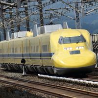 脊柱の痛みと共に生きる仲間たち