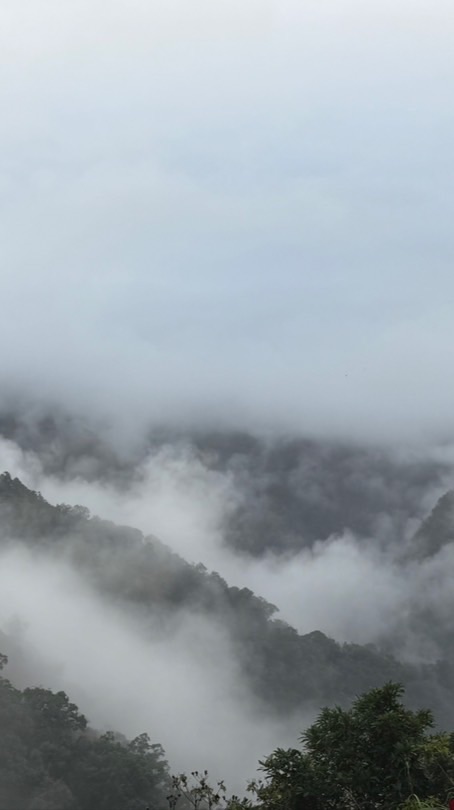 台北花園城都更推動公告版社群