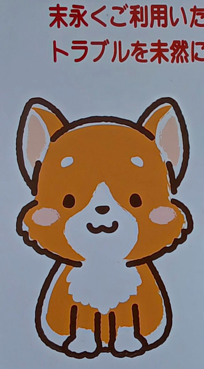 鹿島灘ドッグラン🐶