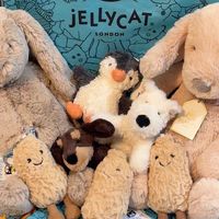 Jellycat瘋瘋瘋買🍍| 美加代購🇺🇸🇨🇦