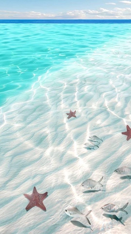 9NPU9 งานสารบรรณ ทำลายเอกสาร