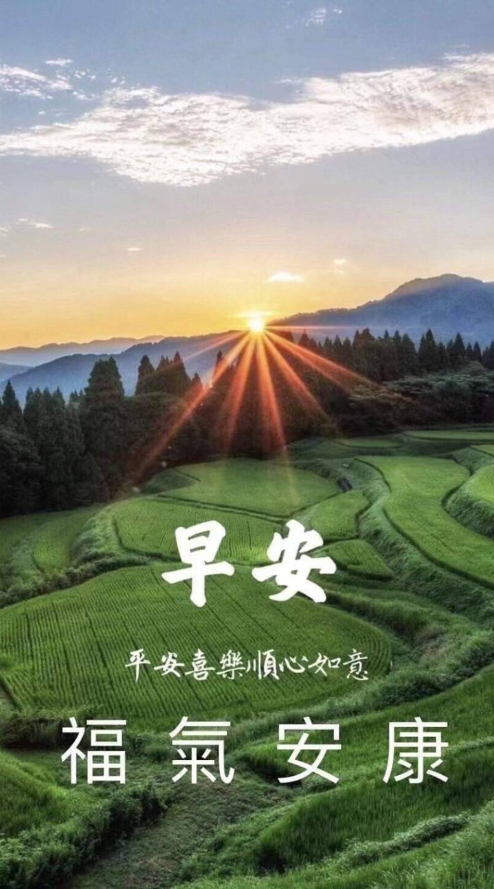 梯田