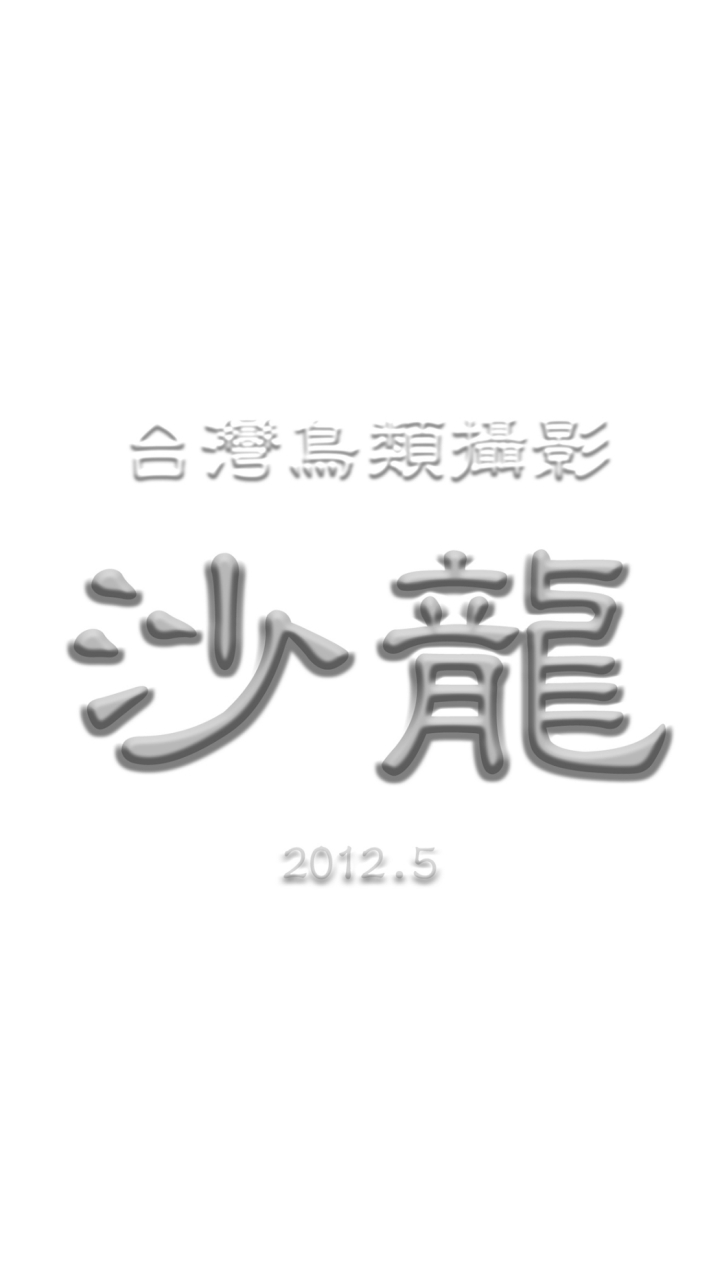 台灣鳥類攝影沙龍