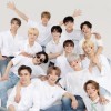 seventeen 固定換卡群