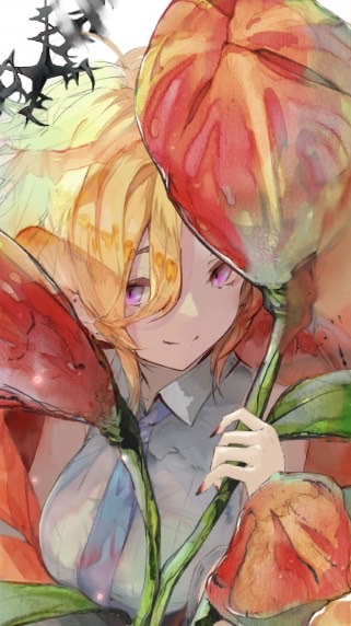 メメモリW84Tiara