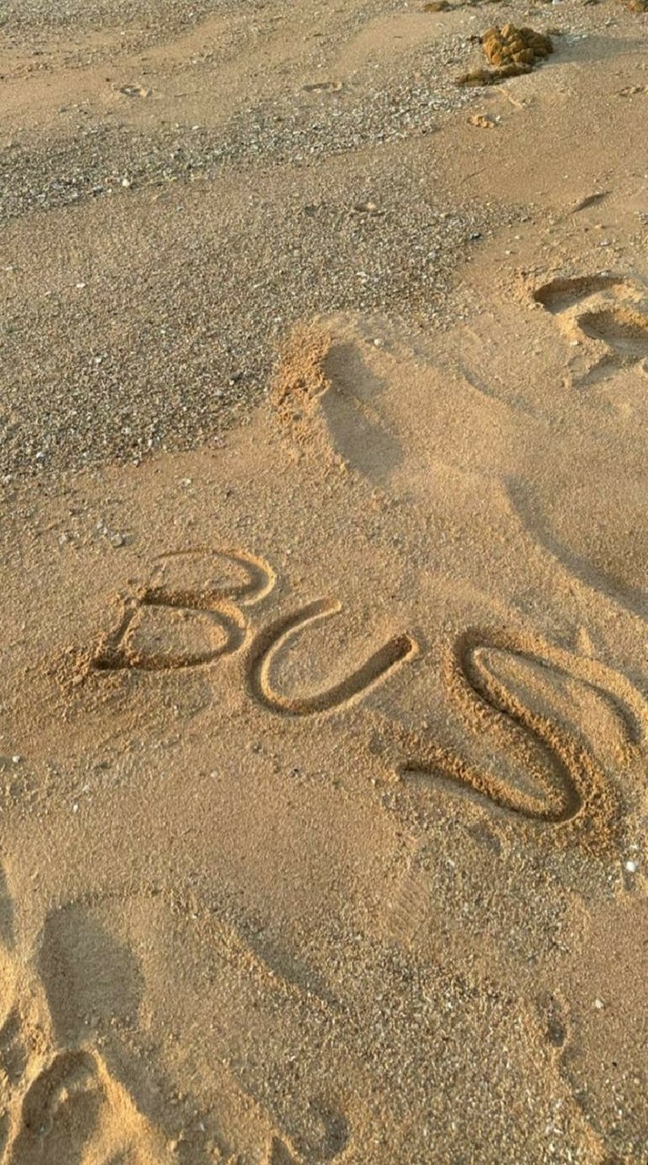 แนะนำฟิคBUS