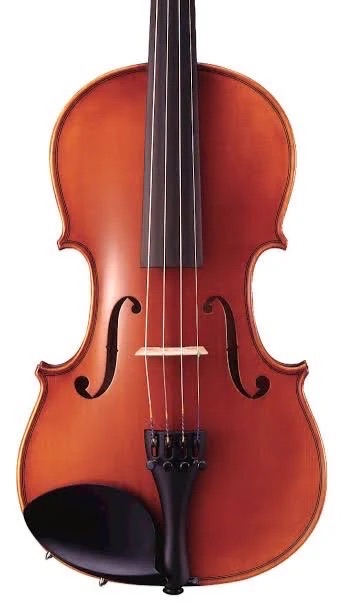 Violinists Hub 🎻🎶