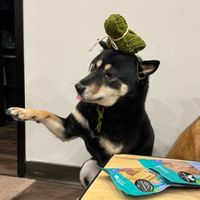 袖口跟媽咪ㄉ小天地