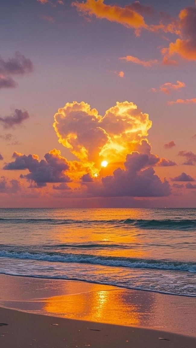 ♥ ˚₊𝙵𝚘𝚛𝚖 𝚋𝚢𝚏𝚒𝚗♥︎