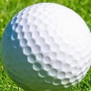目指せ100切り⛳ イベント 予定調整用