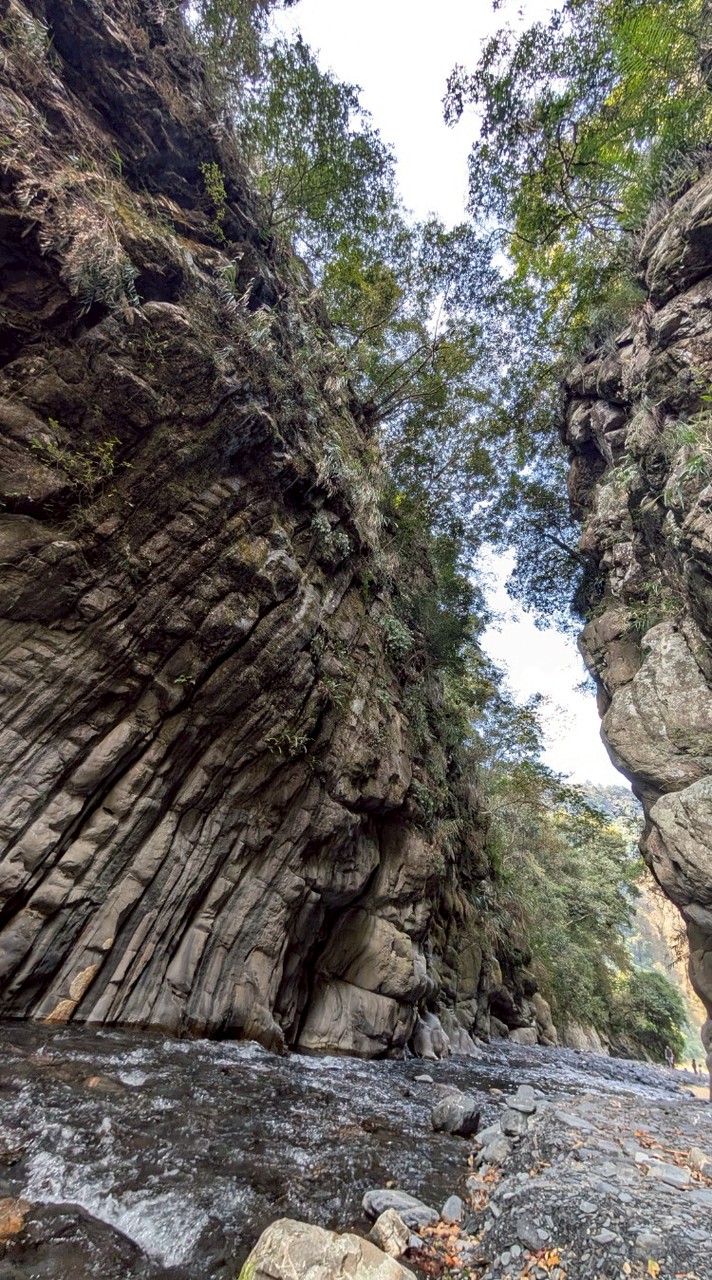 115-01-28武界雲海民宿