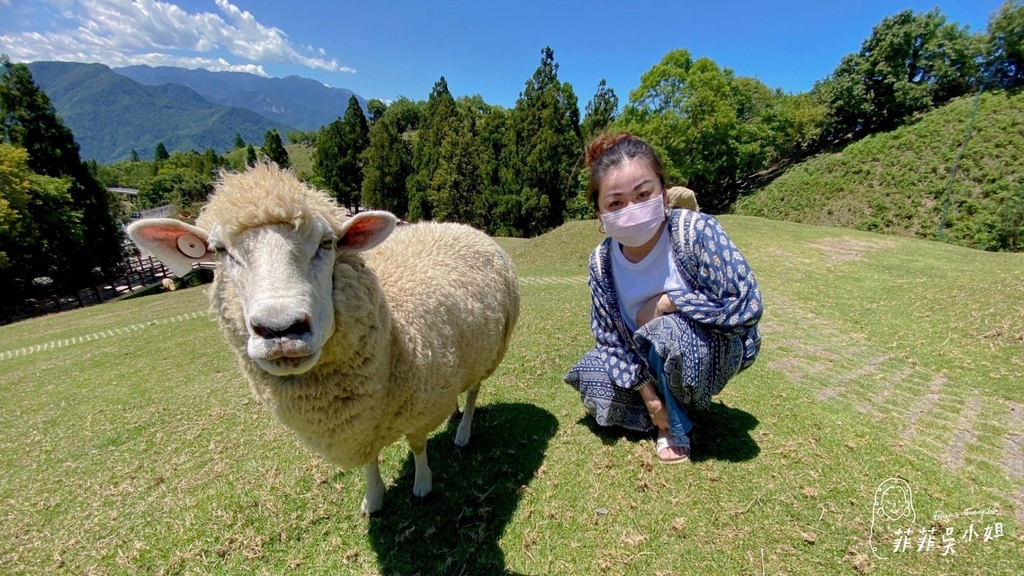 清境農場 青青草原