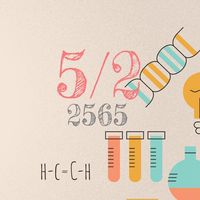 66-1-M.6/2