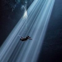 潛水-王蟲之谷