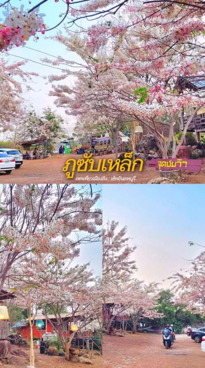 หางานลพบุรี ท่าหลวง ชัยบาดาล