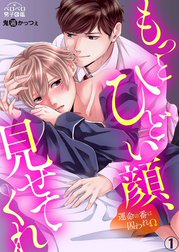 もっとひどい顔、見せてくれ～運命の番は囚われΩ