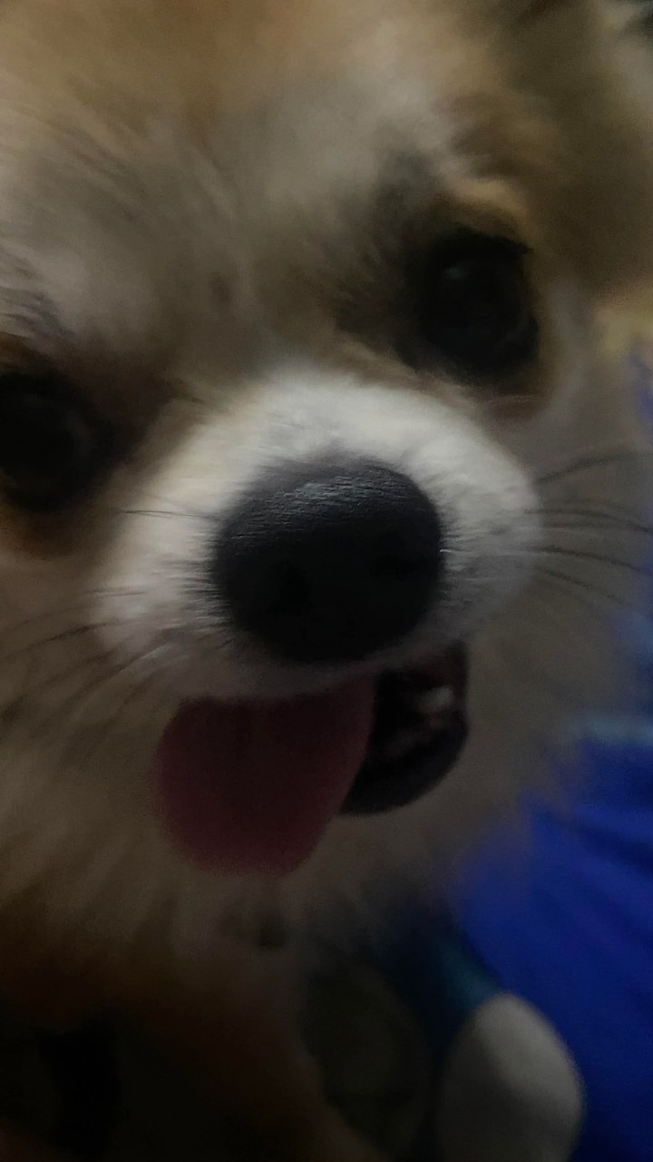 #รหัสหว๊านหวาน🎄