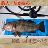 ロックフィッシュ  根魚  釣り