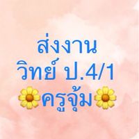 ส่งงานวิทย์ ป.4/1 ครูจุ้ม