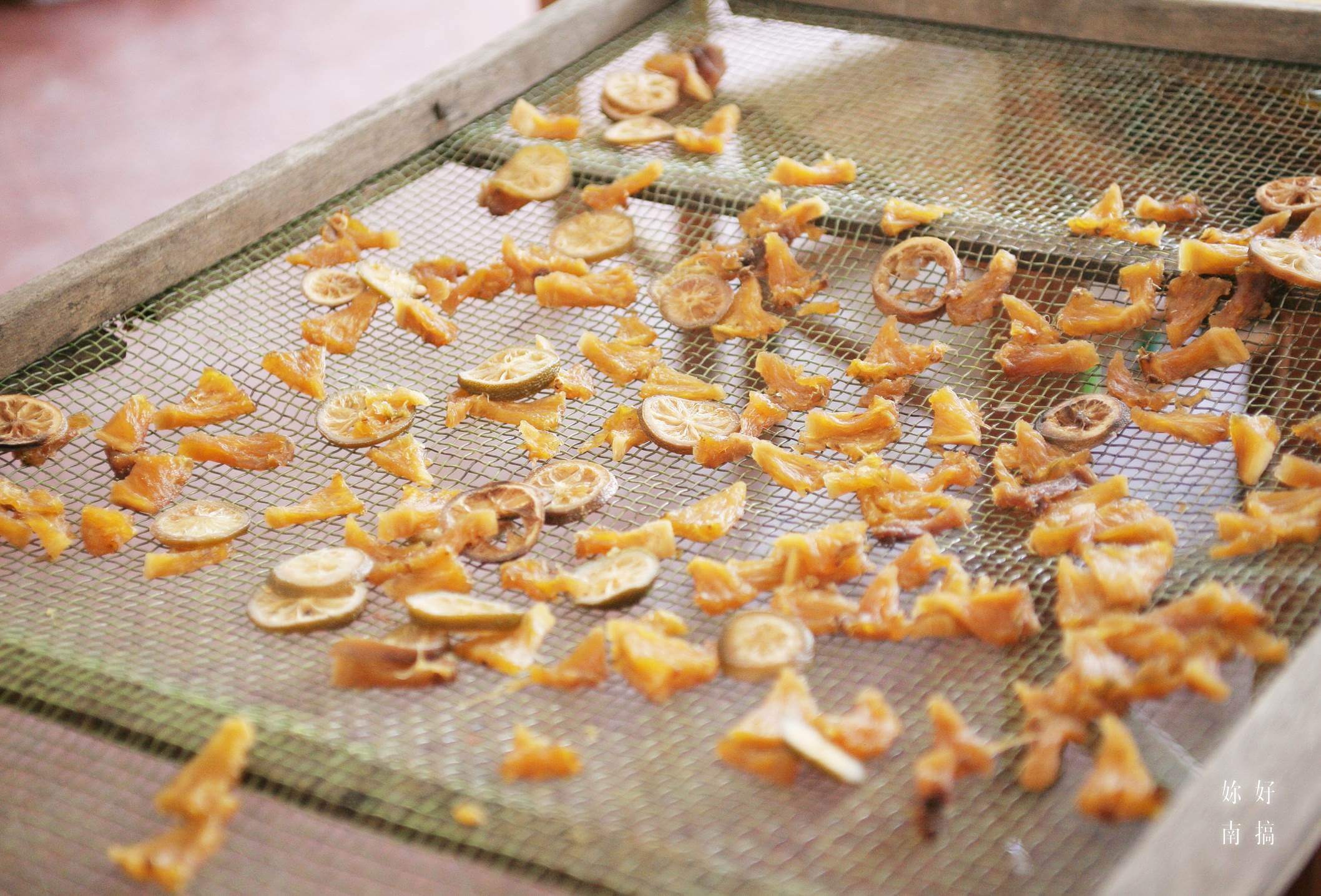 玉井景點-桃花源小學堂-妳好南搞