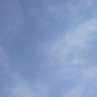 蕃薯藤愛分享（銓員居家）