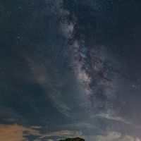 新化高中 306（113學年度）