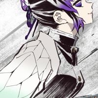 鬼滅の刃固定カプ⌒εïз｡*❁︎