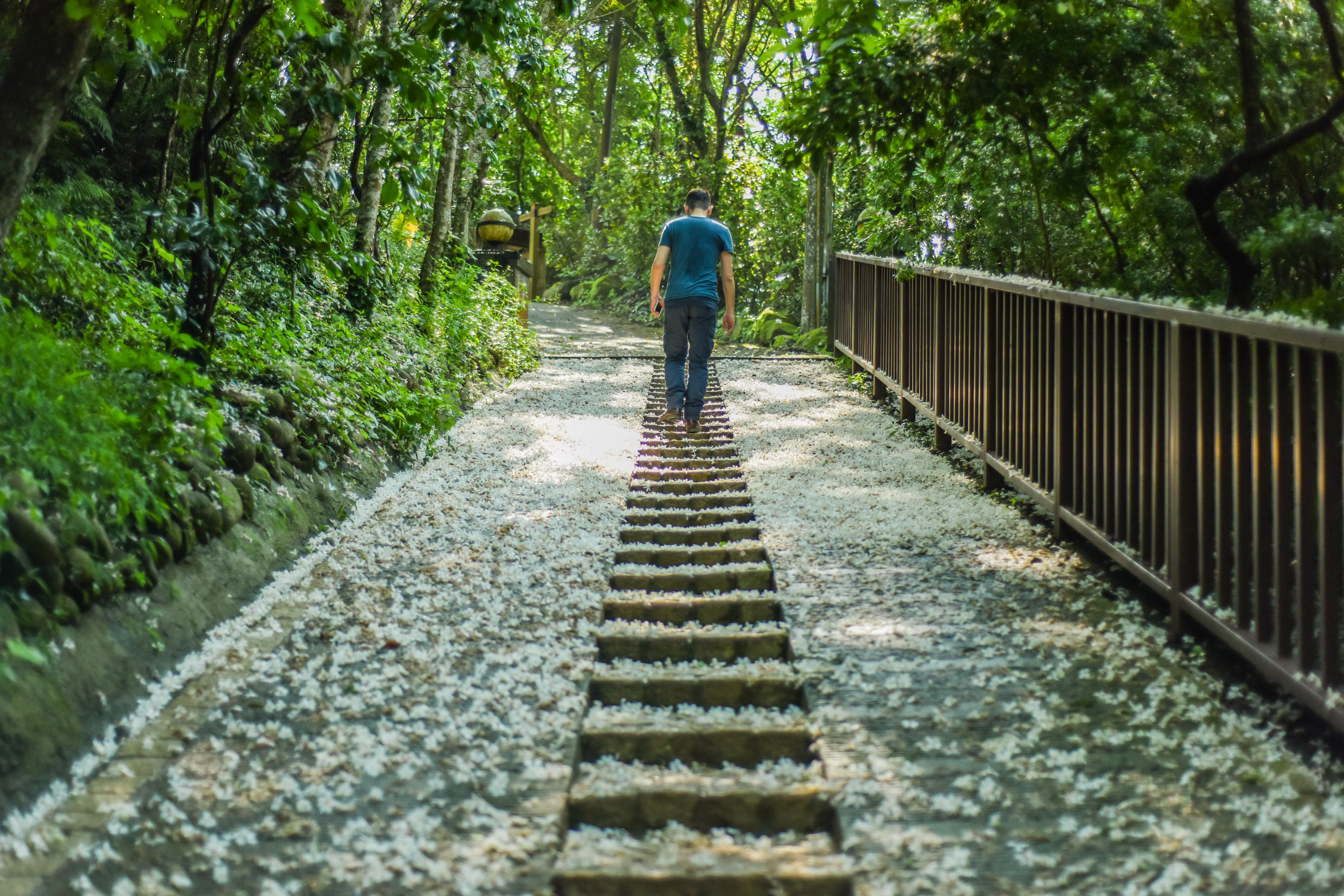 圖片來源/shutterstock.com
