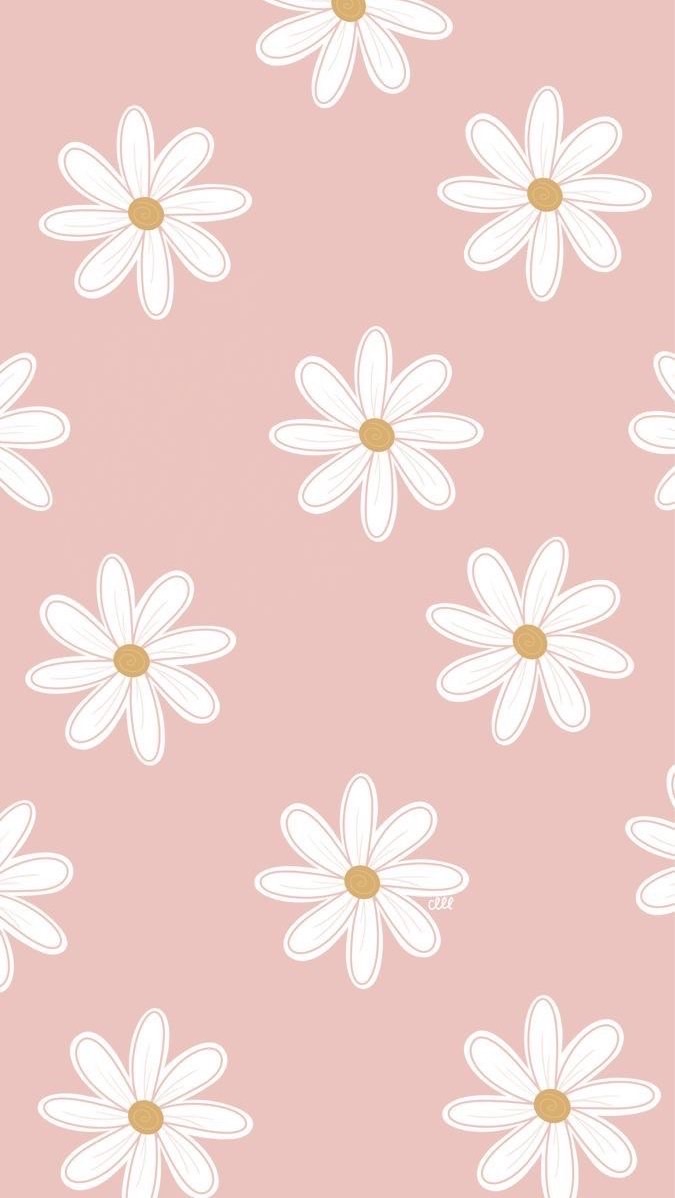 芸能人 nrkr