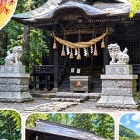 出早雄小萩神社さま探求