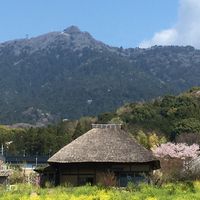 わた畑作業note