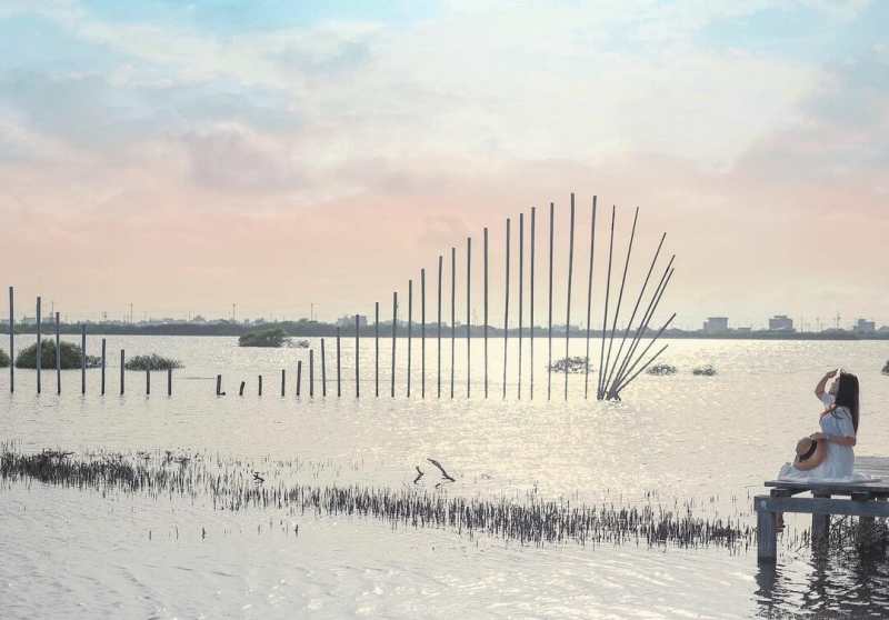 2022最新雲林一日遊推薦｜成龍濕地