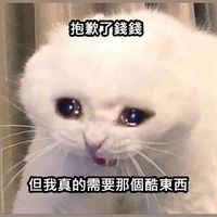 剁手團