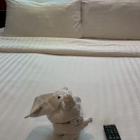 子連れクルーズ情報交換