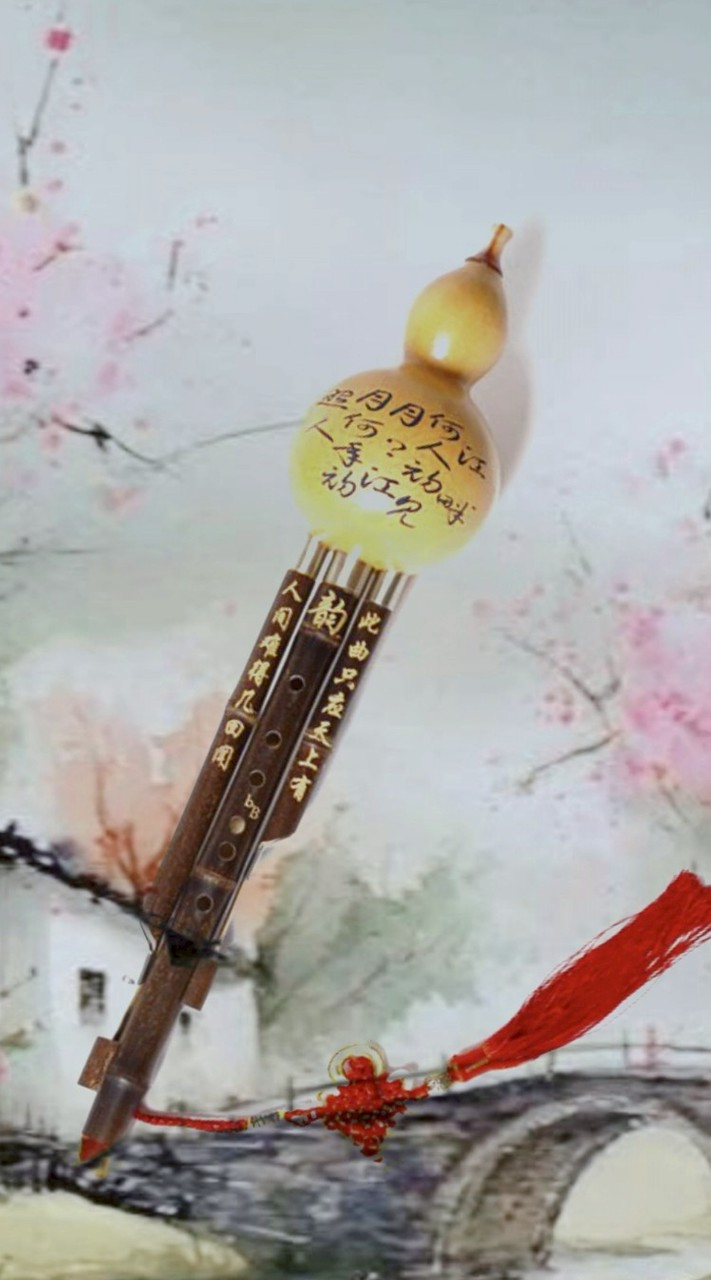 115寒暑假葫蘆絲班