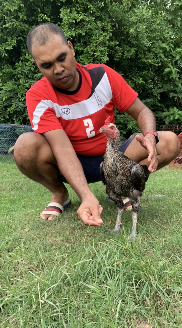 🐓บ้านนายหัว🐓ไก่ชนคนรากหญ้า