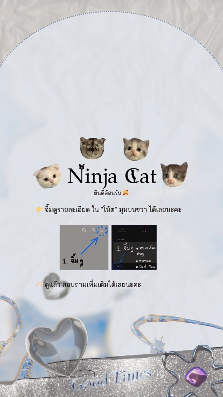 Ninja Cat มีใบ scfc