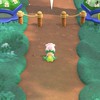 スーパーマリオブラザーズワンダー りんりんパーク
