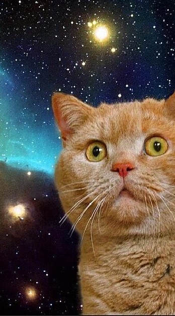 楽しんでる会？のオープンチャット