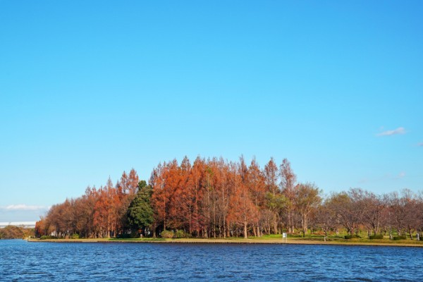 コロナ禍でも行ける 秋のデートにぴったりな東京の公園5選