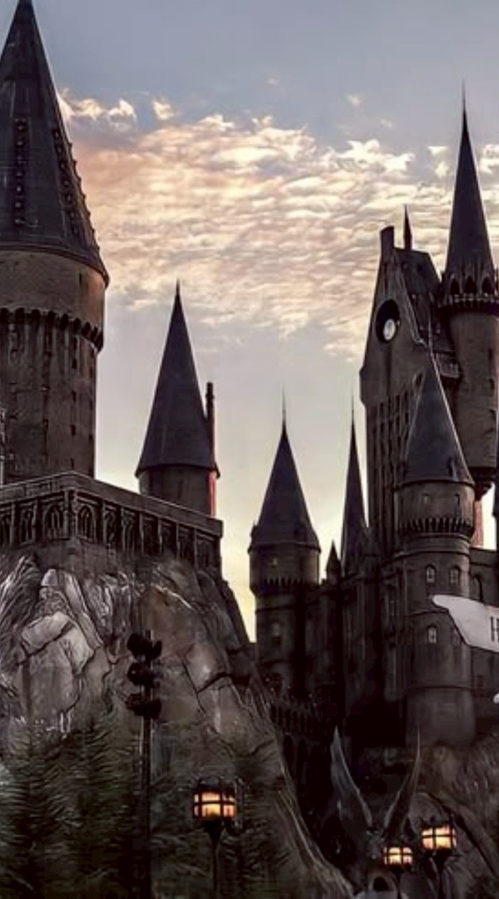 ✨Moonlight at Hogwarts🪄