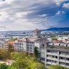 113朝陽老生群