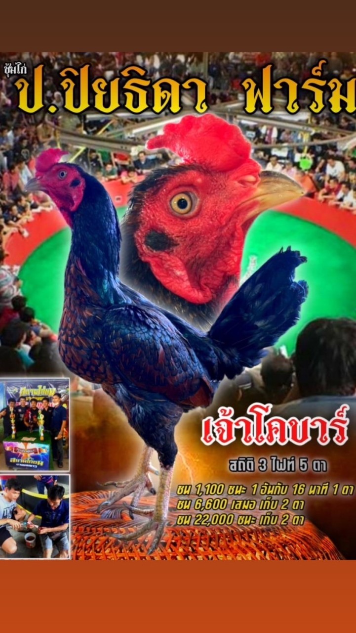 ป.ปิยธิดา ฟาร์ม