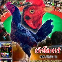 ป.ปิยธิดา ฟาร์ม