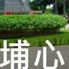我是埔心人