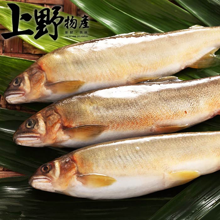 【上野物產】台灣爆卵母香魚x1盒(1kg/盒 8~10隻)