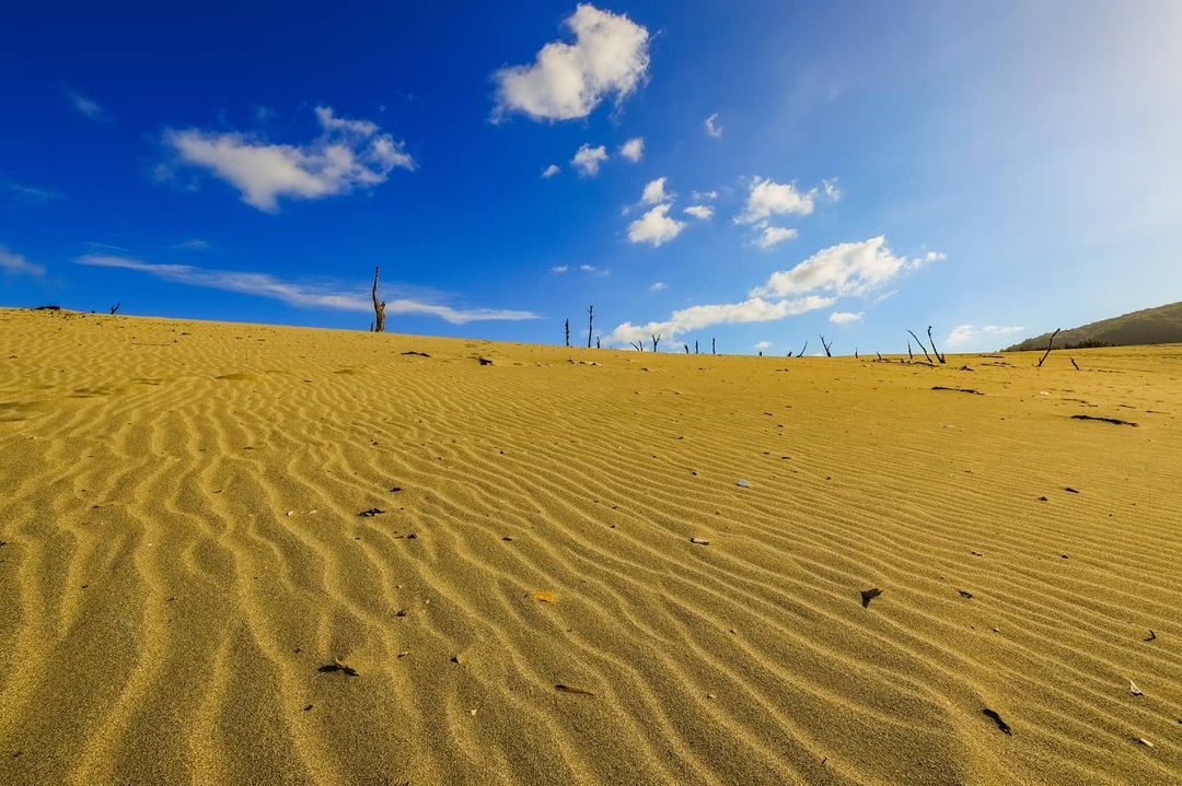 九棚沙漠 @99blue Xd(1)