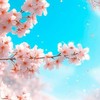 【架空アイドル事務所】Tomorrow Production