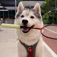 ก๊วนแบด บ้านทองเปราะ 🏸 ทุกวันจันทร์